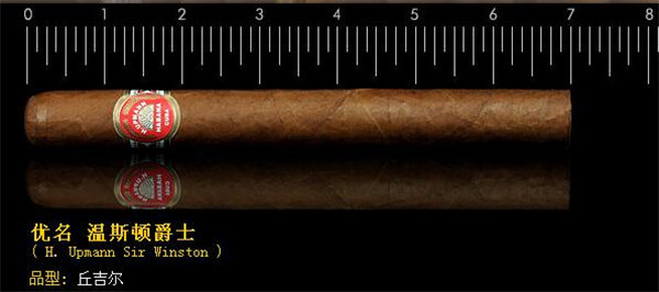古巴雪茄烟乌普曼温斯顿爵士好抽吗 品味新款丘吉尔型雪茄