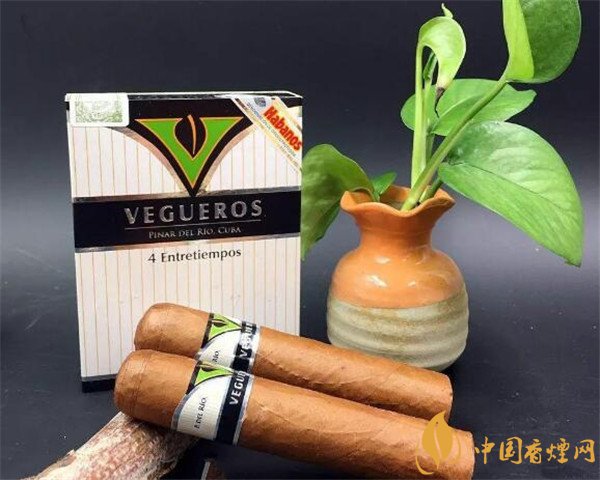 古巴雪茄|古巴雪茄(威古洛小息小罗伯图)价格表图 威古洛小息多少钱