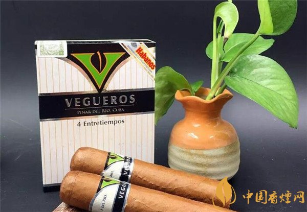 古巴雪茄(威古洛小息小罗伯图)价格表图 威古洛小息多少钱