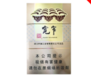 娇子(宽窄吉祥)图片