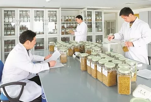 卷烟的成分有哪些 四大卷烟叶组配方的重要意义