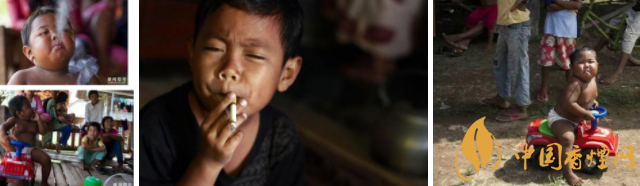 烟草天蛾幼虫|烟草天堂印尼卷烟市场如何 7月1起征收57%电子烟油税