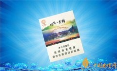 泰山雪茄多少钱一盒 泰山(时光贵州)雪茄型香烟价格20元/包