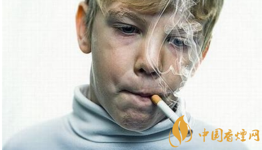 2018新生代年轻电子烟用户研究 90、95和00后烟民消费数据
