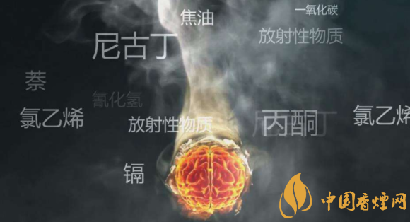 研究生招生信息网|研究称年轻人吸烟越多右侧脑岛越稀薄