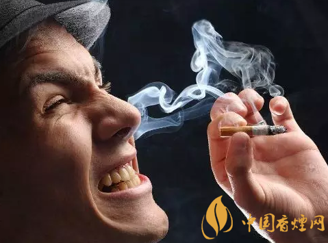 适量抽烟对身体有好处是真的!(官方正解)