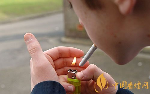 欧洲研究|欧洲烟民青少年时期开始吸烟 吸烟危害更大