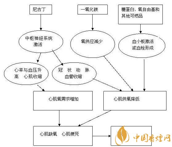 【高铁吸烟吸烟危害】吸烟的危害：揭秘吸烟对心脏产生的种种危害