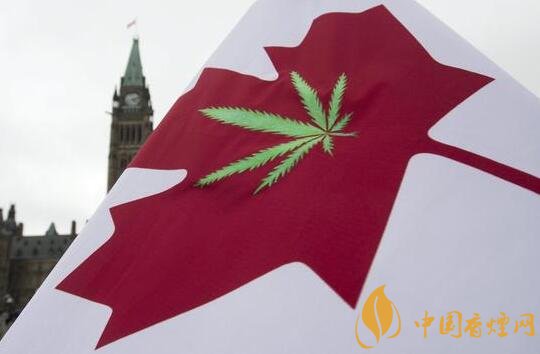 世界第一大烟草公司奥驰亚欲收购加拿大大麻公司Cronos