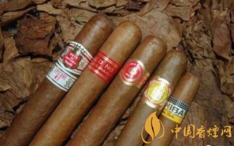 如何鉴别真古巴雪茄味道 假雪茄有什么特点