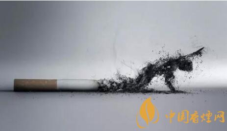 戒烟者戒烟后该如何帮助肺部排毒？
