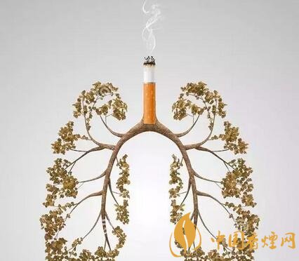 [戒烟会得肺癌吗]戒烟更容易得肺癌？肺癌和吸烟之间到底有何关系