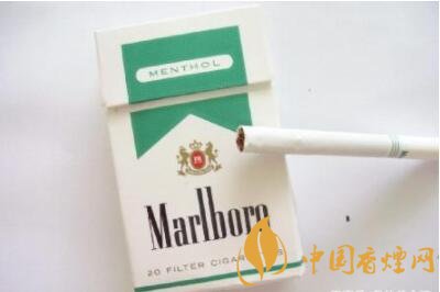 世界顶级香烟有哪些 六大顶级香烟品牌介绍