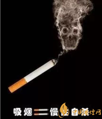 吸烟的危害_吸烟等于慢性自杀 你真的该戒烟了