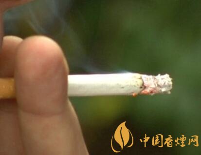 电子烟_电子烟、卷烟、HNB究竟哪个对肺部危害最大？