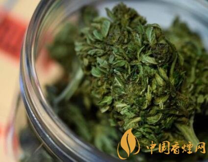 泰国烟草局将扶持烟农改种大麻