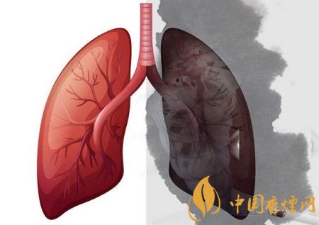 戒烟后肺部可以恢复正常吗 答案是可以的！