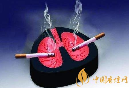 抽烟会引起肺癌吗 吸烟是导致肺癌主要因素