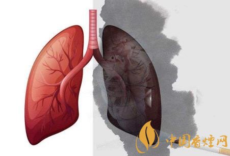 吸烟是怎样危害肺部健康 吸烟的常见五大危害介绍