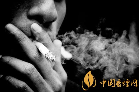 吸烟对人体有哪些危害 50%以上的人发病由于吸烟！
