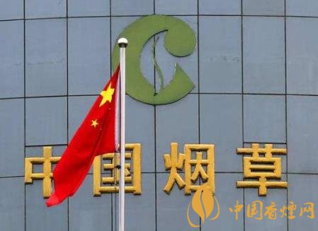 疫情期间中国烟草敢为人先 至今累计捐款达2.39亿元