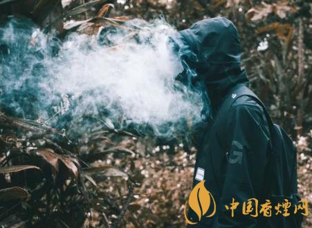 未成年人吸烟有什么危害 青少年吸烟对身体的危害介绍！