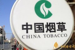 专业不对口能进烟草国企吗别怕烟草国企需要各个专业人才