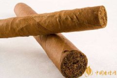 多角度分析雪茄与香烟的区别
