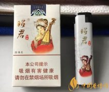 昭君烟多少钱一盒 大青山昭君出塞香烟口感评测