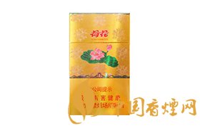 2020荷花牌香烟价格一览表